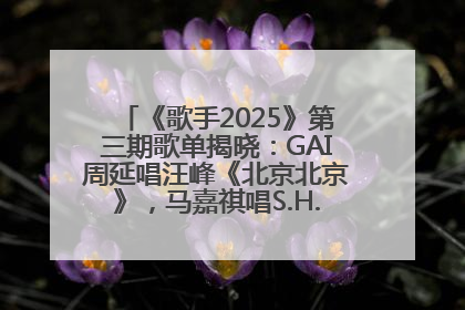 《歌手2025》第三期歌单揭晓：GAI周延唱汪峰《北京北京》，马嘉祺唱S.H.E《你曾是少年》