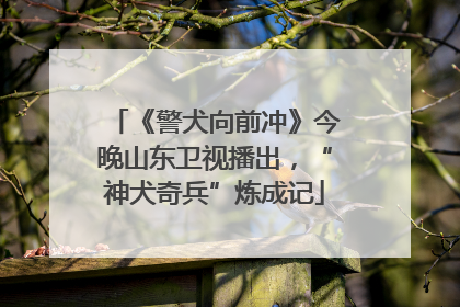 《警犬向前冲》今晚山东卫视播出，“神犬奇兵”炼成记