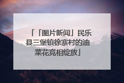 「图片新闻」民乐县三堡镇徐寨村的油菜花竞相绽放