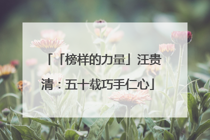 「榜样的力量」汪贵清：五十载巧手仁心