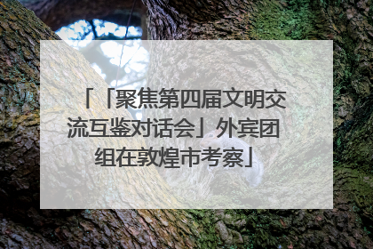 「聚焦第四届文明交流互鉴对话会」外宾团组在敦煌市考察