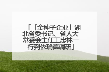 「金种子企业」湖北省委书记、省人大常委会主任王忠林一行到依瑞德调研