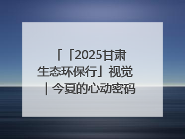 「2025甘肃生态环保行」视觉｜今夏的心动密码，藏在冰沟河的潋滟波光里