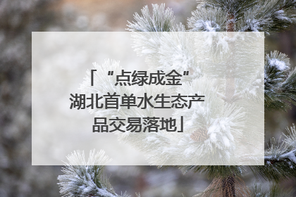 “点绿成金” 湖北首单水生态产品交易落地