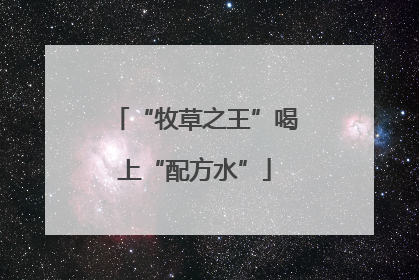 “牧草之王”喝上“配方水”