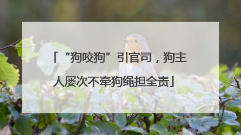 “狗咬狗”引官司，狗主人屡次不牵狗绳担全责
