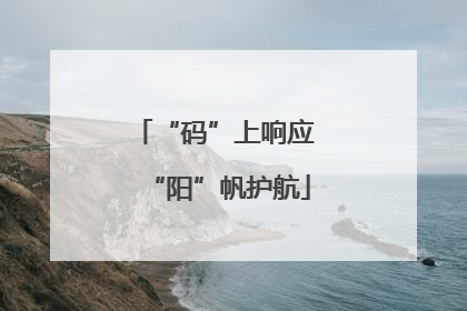 “码”上响应 “阳”帆护航
