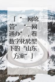 “一网统管”“一网通办”，看数字化转型下的“山东方案”