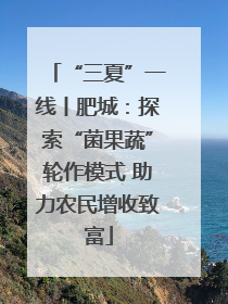 “三夏”一线丨肥城：探索“菌果蔬”轮作模式 助力农民增收致富