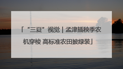 “三夏”视觉｜孟津插秧季农机穿梭 高标准农田披绿装