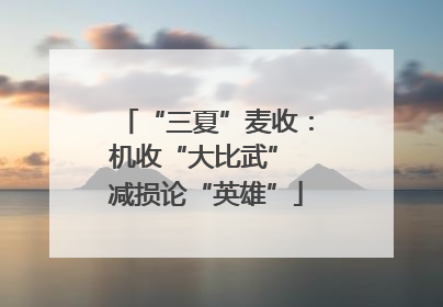 “三夏”麦收：机收“大比武” 减损论“英雄”