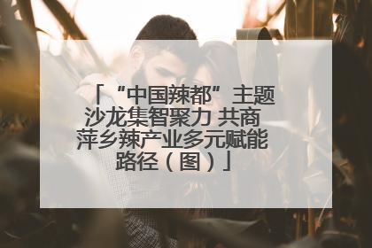 “中国辣都”主题沙龙集智聚力 共商萍乡辣产业多元赋能路径（图）
