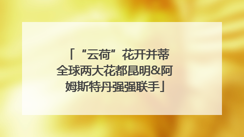 “云荷”花开并蒂 全球两大花都昆明&阿姆斯特丹强强联手