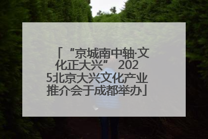 “京城南中轴·文化正大兴” 2025北京大兴文化产业推介会于成都举办