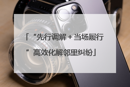 “先行调解＋当场履行”高效化解邻里纠纷
