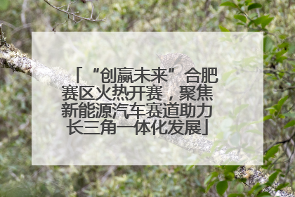 “创赢未来”合肥赛区火热开赛，聚焦新能源汽车赛道助力长三角一体化发展