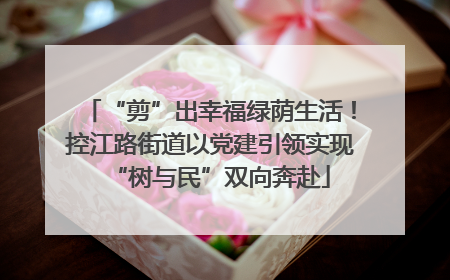 “剪”出幸福绿荫生活！控江路街道以党建引领实现“树与民”双向奔赴