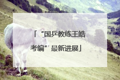 “国乒教练王皓考编”最新进展