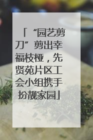 “园艺剪刀”剪出幸福枝桠，先贤苑片区工会小组携手扮靓家园
