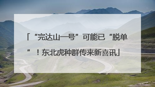 “完达山一号”可能已“脱单”！东北虎种群传来新喜讯