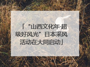 “山西文化年·超级好风光”日本采风活动在大同启动