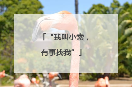 “我叫小索，有事找我”