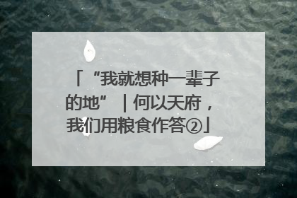 “我就想种一辈子的地”｜何以天府，我们用粮食作答②