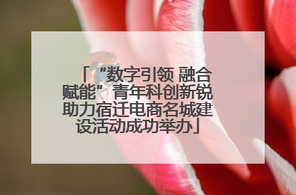 “数字引领 融合赋能”青年科创新锐助力宿迁电商名城建设活动成功举办