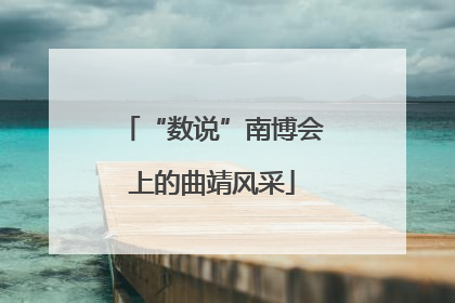 “数说”南博会上的曲靖风采