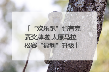 “欢乐跑”也有完赛奖牌啦 太原马拉松赛“福利”升级
