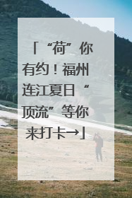 “荷”你有约！福州连江夏日“顶流”等你来打卡→