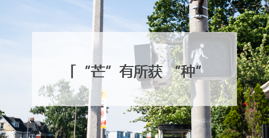 “芒”有所获 “种”下希望 滨州职业学院进行劳动实践教育活动