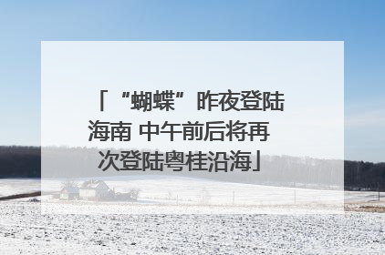 “蝴蝶”昨夜登陆海南 中午前后将再次登陆粤桂沿海