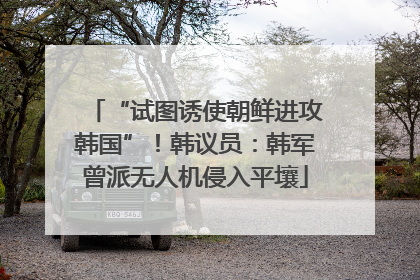 “试图诱使朝鲜进攻韩国”！韩议员：韩军曾派无人机侵入平壤