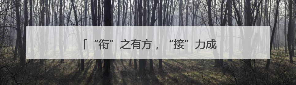 “衔”之有方，“接”力成长！这场联合教研超有料！