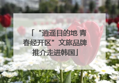 “逍遥目的地 青春经开区”文旅品牌推介走进韩国