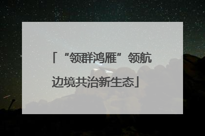 “领群鸿雁”领航边境共治新生态