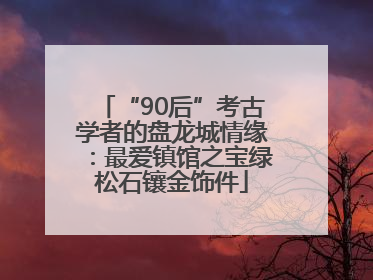 “90后”考古学者的盘龙城情缘：最爱镇馆之宝绿松石镶金饰件