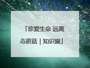 珍爱生命 远离毒蘑菇｜知识窗