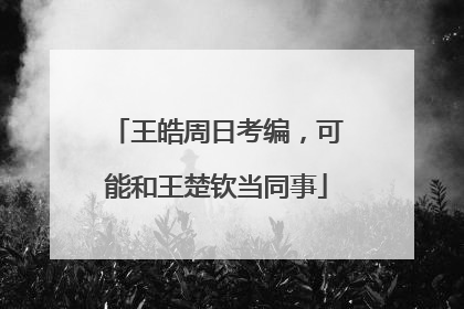 王皓周日考编，可能和王楚钦当同事