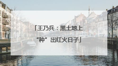 王乃兵：黑土地上“种”出红火日子