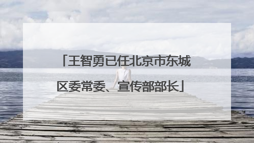 王智勇已任北京市东城区委常委、宣传部部长