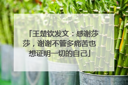 王楚钦发文：感谢莎莎，谢谢不管多痛苦也想证明一切的自己
