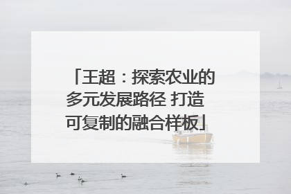王超：探索农业的多元发展路径 打造可复制的融合样板