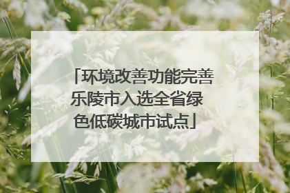 环境改善功能完善 乐陵市入选全省绿色低碳城市试点