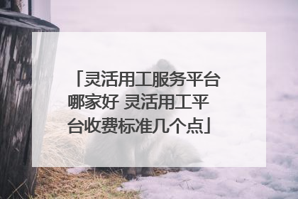 灵活用工服务平台哪家好 灵活用工平台收费标准几个点