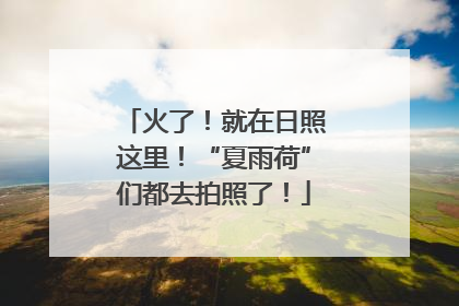 火了！就在日照这里！“夏雨荷”们都去拍照了！