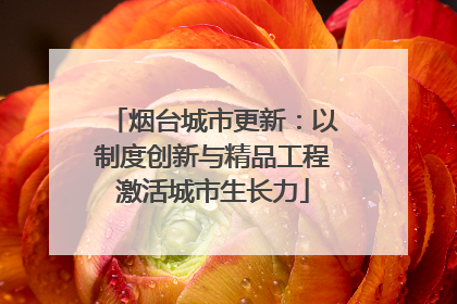 烟台城市更新：以制度创新与精品工程激活城市生长力