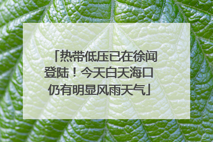 热带低压已在徐闻登陆！今天白天海口仍有明显风雨天气