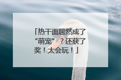 热干面居然成了“萌宠”？还获了奖！太会玩！
